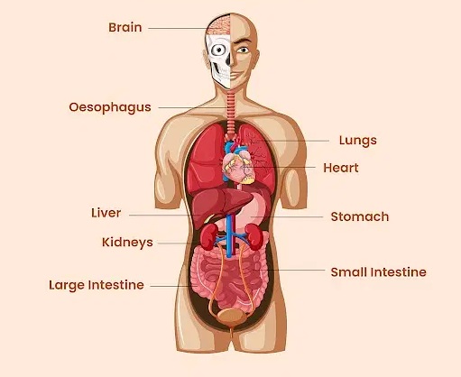 services of nirmala multispeciality hospital and trauma centre